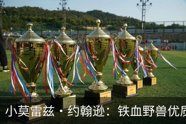 小莫雷兹·约翰逊：铁血野兽优质冠军拼图 开发三分顺位直逼乐透